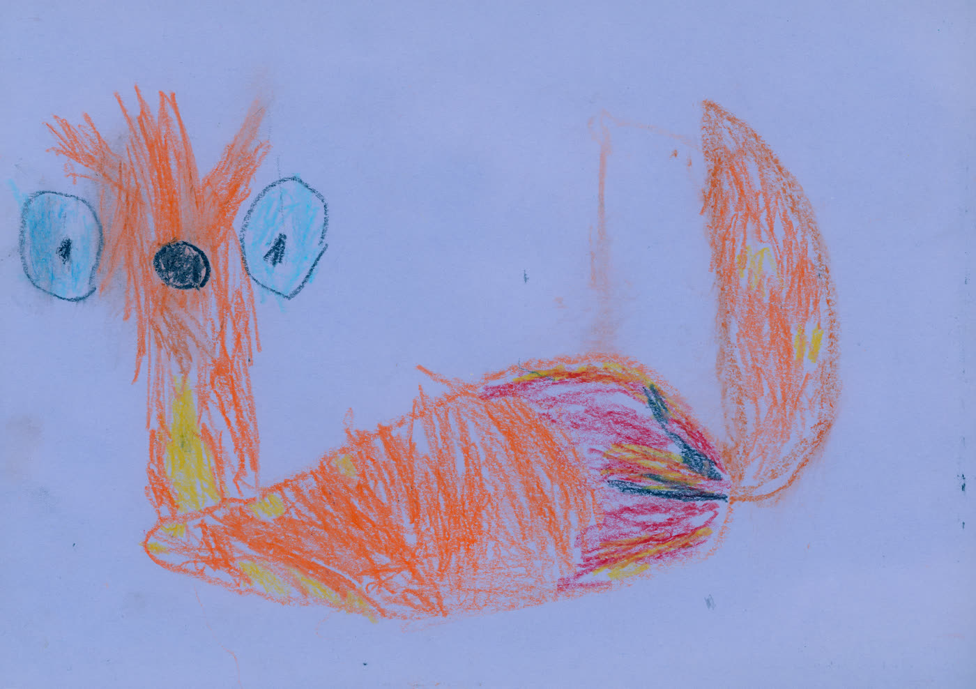 Fantastic Mr Fox drawing